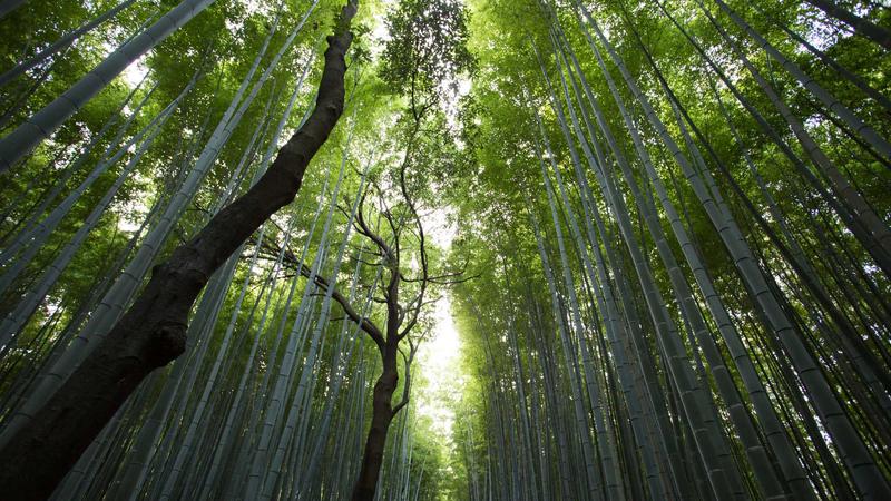 澳亚国际唯一登录安全直达信赖之选